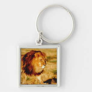 Lone Lion Keychain