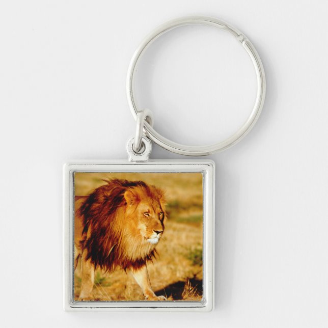 Lone Lion Keychain (Front)