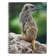 Lone Meerkat Notebook