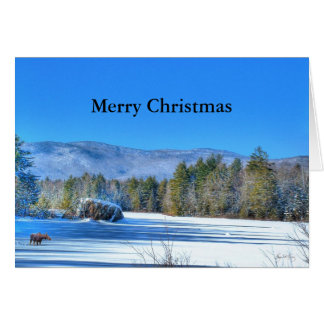 Lone Moose on Robartwood Pond - Christmas Card