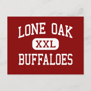 Lone Oak - Buffaloes - High - Lone Oak Texas Postcard