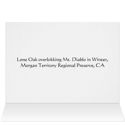 Lone Oak overlooking Mt. Diablo in Winter (Inside Horizontal (Top))