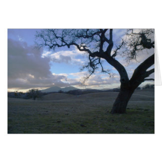 Lone Oak overlooking Mt. Diablo in Winter Cards