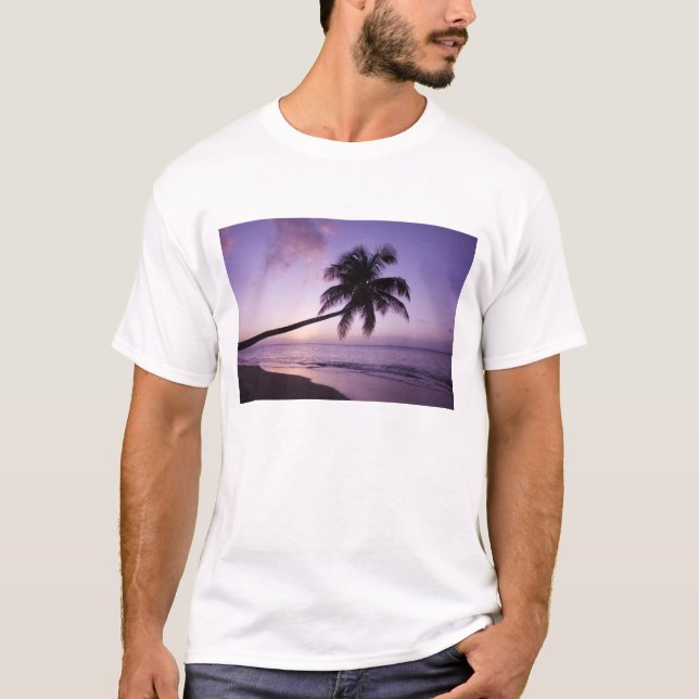 Lone palm tree at sunset, Coconut Grove beach 2 T-Shirt (Front)