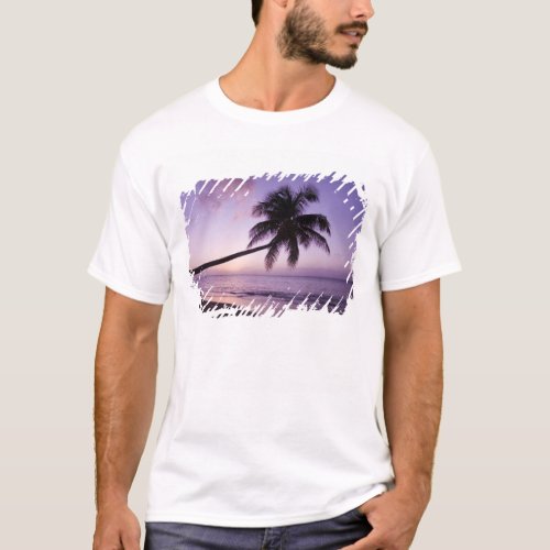 Lone palm tree at sunset Coconut Grove beach 2 T_Shirt