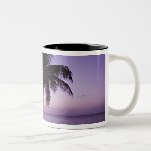 Lone palm tree at sunset Coconut Grove beach 2 Two_Tone Coffee Mug