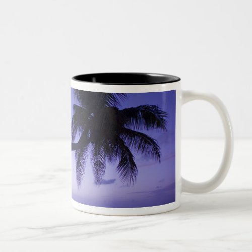 Lone palm tree at sunset Coconut Grove beach 3 Two_Tone Coffee Mug