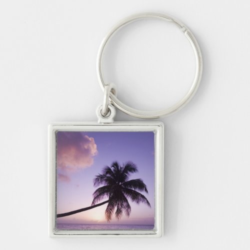 Lone palm tree at sunset Coconut Grove beach Keychain