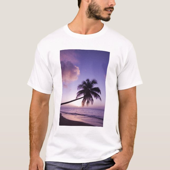 Lone palm tree at sunset, Coconut Grove beach T-Shirt (Front)
