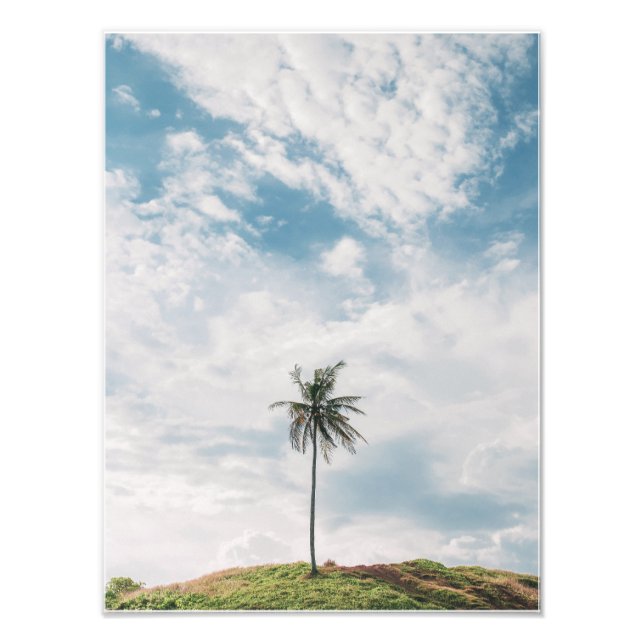 Lone Palm Under Blue Sky | Minimalist Tropical Photo Print (Front)