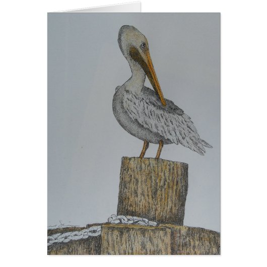 Lone Pelly Cards (Front)