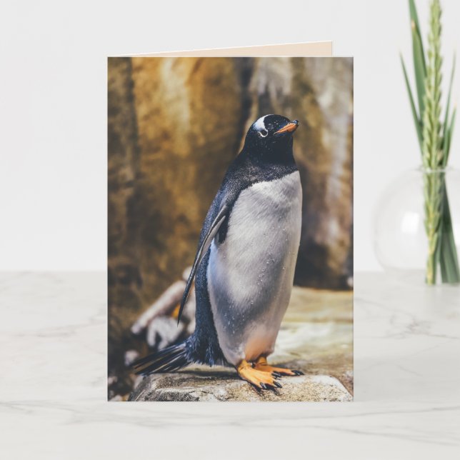 lone penguin greeting card (Front)