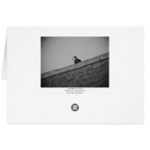 Lone Pigeon on a Roof (Back Horizontal)