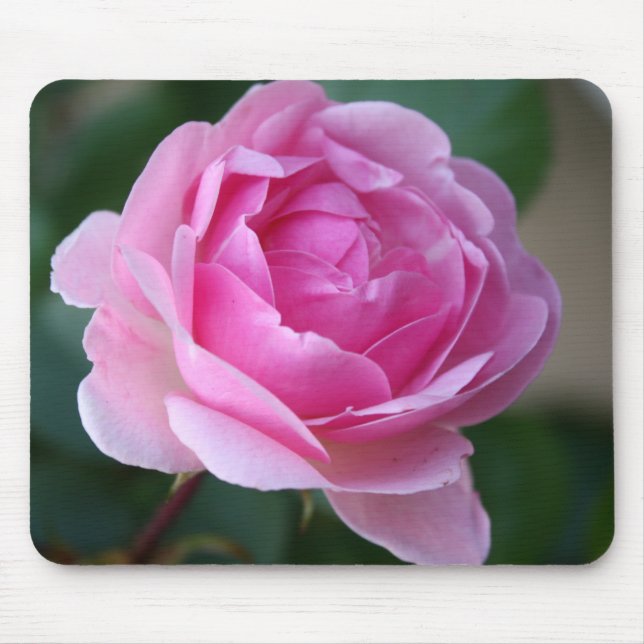 Lone Pink Rose Mousepad (Front)