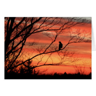 Lone Raven Calling Cards