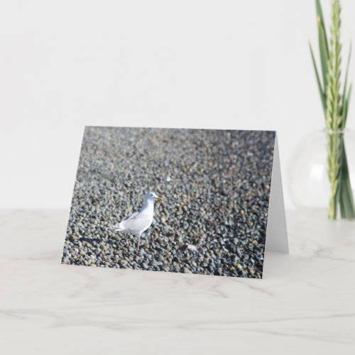 Lone Seagull Blank Thank You Card