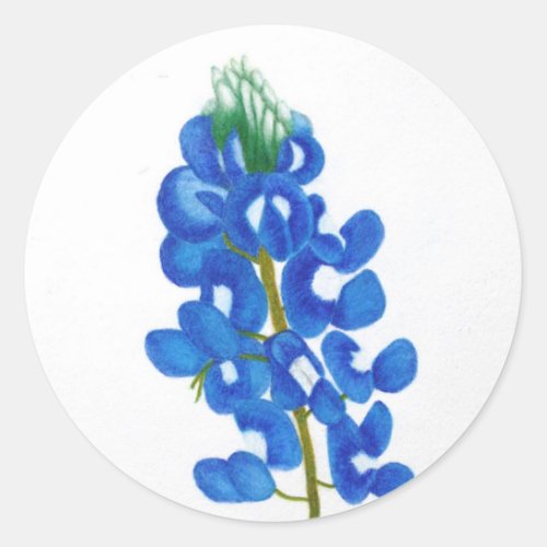 Lone Star Bluebonnet Sticker