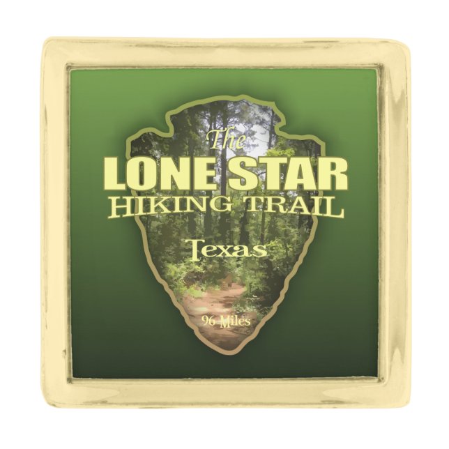 Lone Star HT (arrowhead) Gold Finish Lapel Pin (Front)