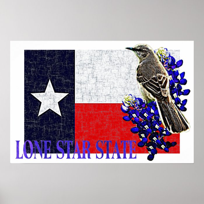 LONE STAR STATE Poster