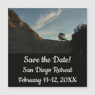 Lone Torrey Pine California Sunset Landscape