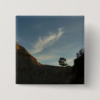 Lone Torrey Pine California Sunset Landscape Button
