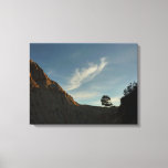 Lone Torrey Pine California Sunset Landscape Canvas Print