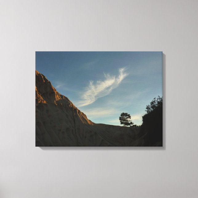 Lone Torrey Pine California Sunset Landscape Canvas Print (Front)