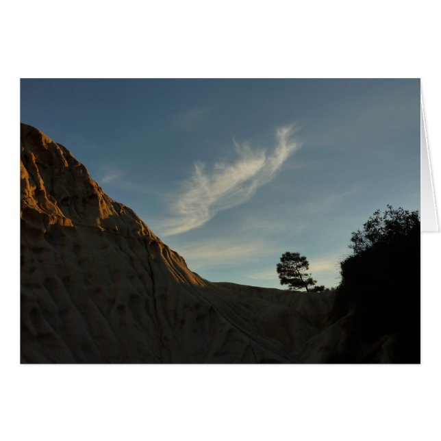 Lone Torrey Pine California Sunset Landscape Cards (Front Horizontal)