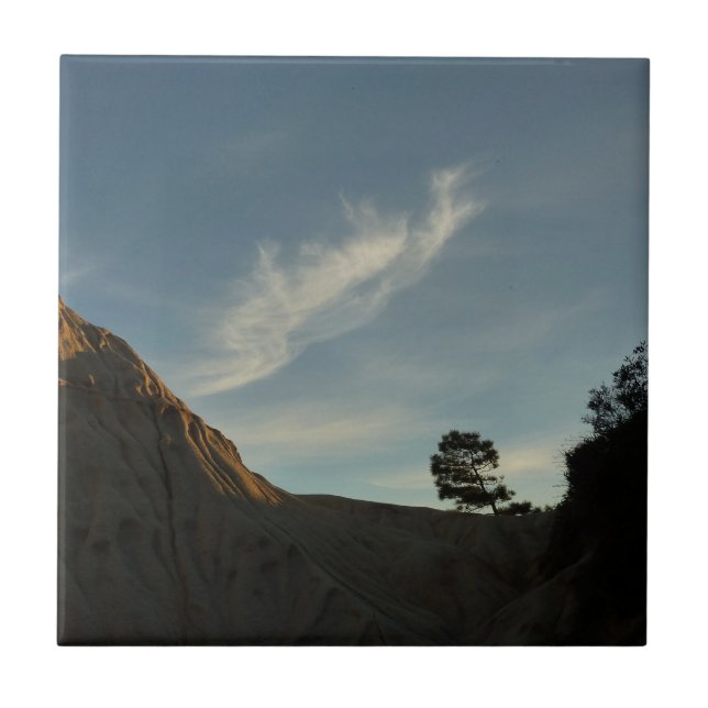 Lone Torrey Pine California Sunset Landscape Ceramic Tile (Front)