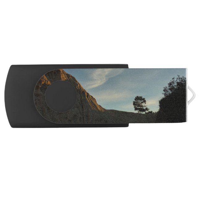 Lone Torrey Pine California Sunset Landscape Flash Drive (Front)