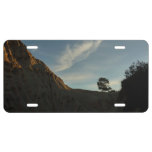Lone Torrey Pine California Sunset Landscape License Plate
