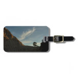 Lone Torrey Pine California Sunset Landscape Luggage Tag