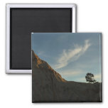 Lone Torrey Pine California Sunset Landscape Magnet