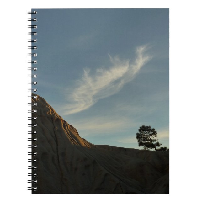 Lone Torrey Pine California Sunset Landscape Notebook (Front)