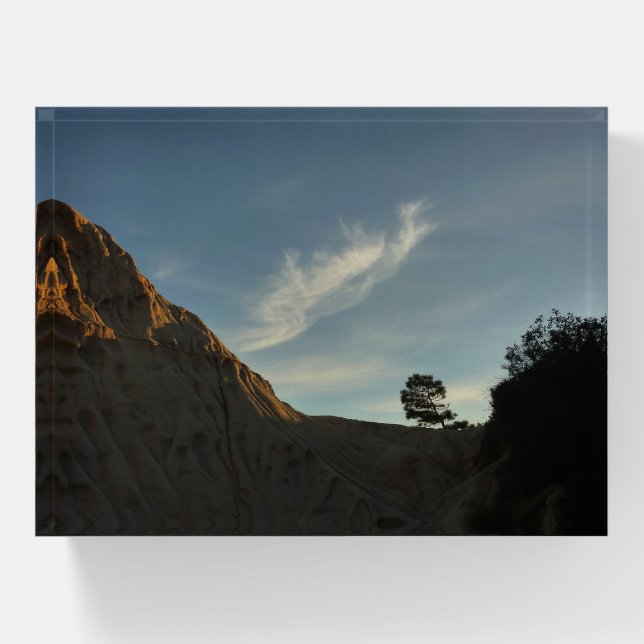 Lone Torrey Pine California Sunset Landscape Paperweight (Front)