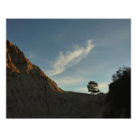 Lone Torrey Pine California Sunset Landscape Photo Print