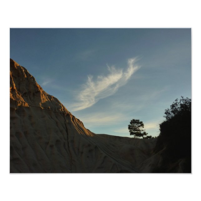 Lone Torrey Pine California Sunset Landscape Photo Print (Front)