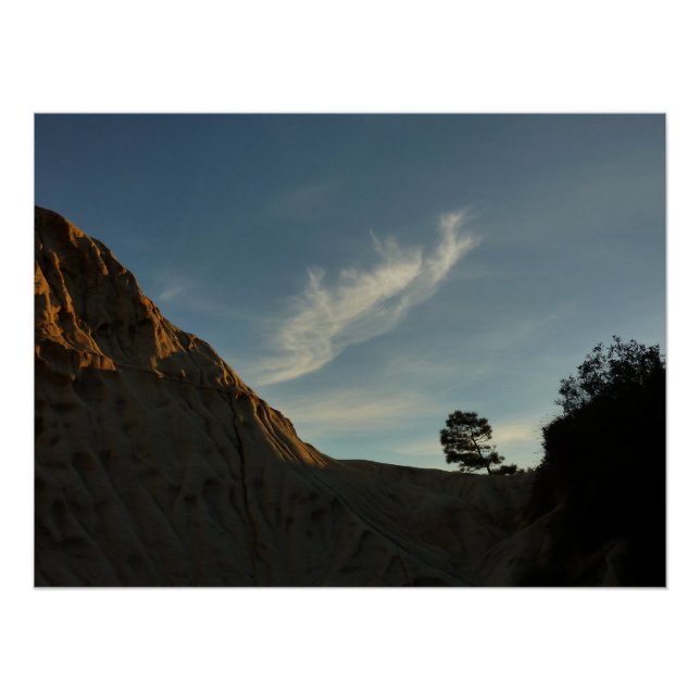 Lone Torrey Pine California Sunset Landscape Poster (Front)