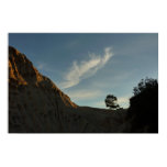 Lone Torrey Pine California Sunset Landscape Poster