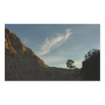 Lone Torrey Pine California Sunset Landscape Rectangular Sticker