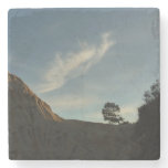 Lone Torrey Pine California Sunset Landscape Stone Coaster
