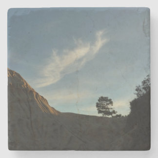 Lone Torrey Pine California Sunset Landscape Stone Coaster
