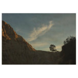 Lone Torrey Pine California Sunset Landscape Wood Poster