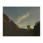 Lone Torrey Pine California Sunset Landscape Wood Wall Art