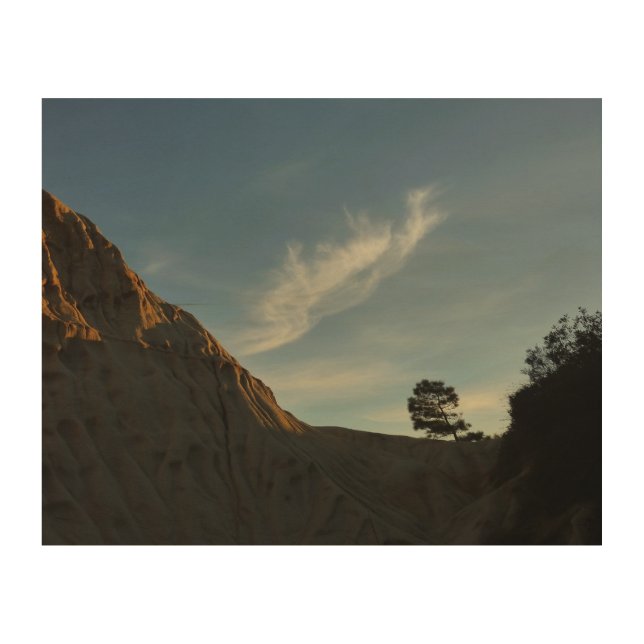 Lone Torrey Pine California Sunset Landscape Wood Wall Art (Front)