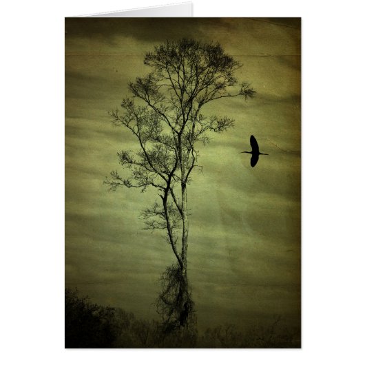 Lone Tree and Bird Cards (Front)