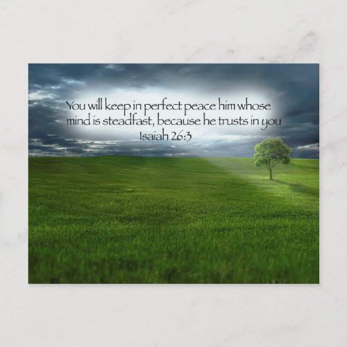 Lone Tree Blue Sky Bible Verse Postcard