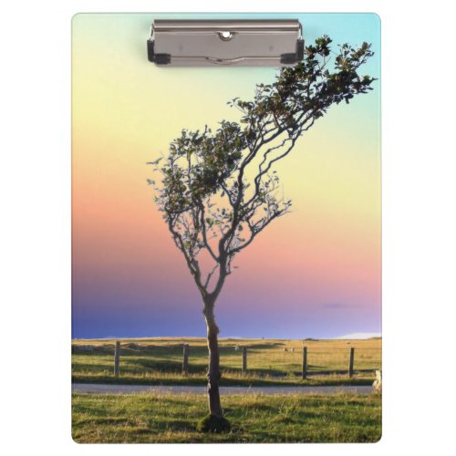 LONE TREE   CLIPBOARD