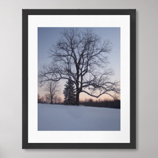 Lone Tree Framed Art