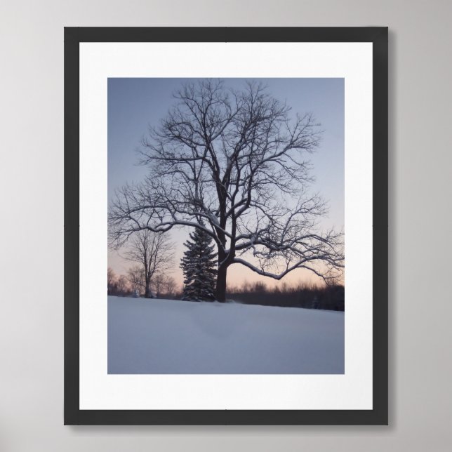 Lone Tree Framed Art (Framed Front)